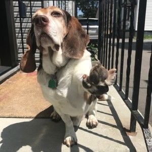 Meet your Posher, Christopher